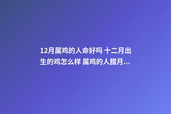 12月属鸡的人命好吗 十二月出生的鸡怎么样 属鸡的人腊月出生命运如何，属鸡的人运气好吗？-第1张-观点-玄机派